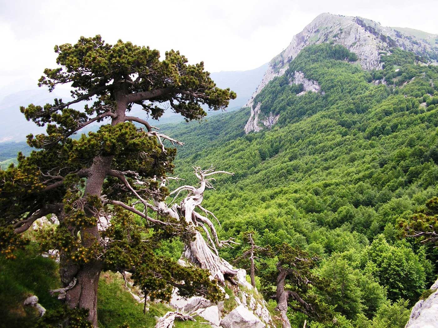 parco nazionale del pollino